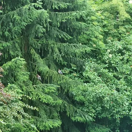 Pandora's Loft بيت الحب كراكوفيا