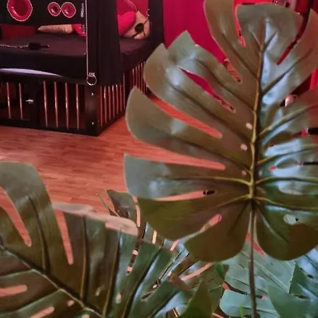 Romantiskt hotell Pandora's Loft