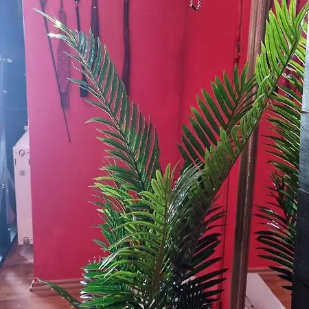 Pandora's Loft מלון אהבה