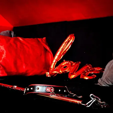 Love hotel Pandora's Loft *