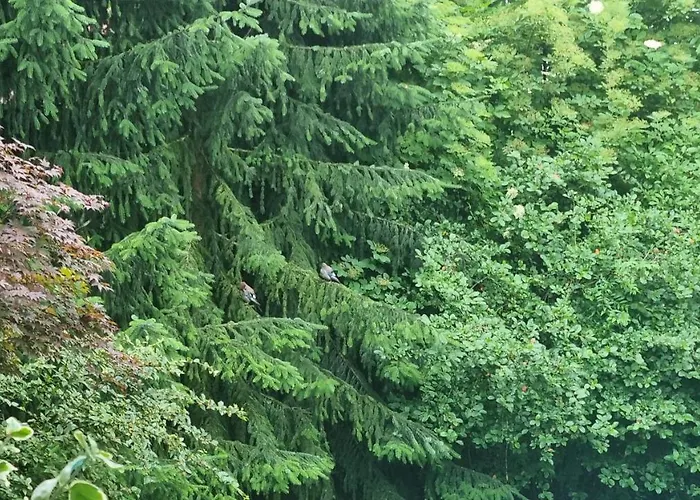 Pandora's Loft Love hotel Krakow