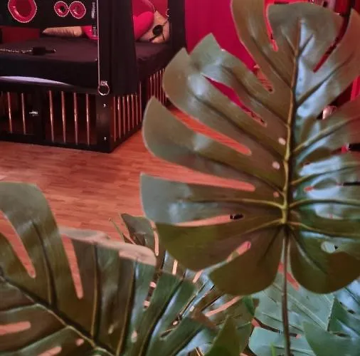 Love hotel Pandora's Loft