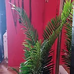 Pandora's Loft Ξενοδοχείο ημιδιαμονής