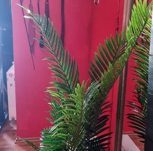 Pandora's Loft מלון אהבה